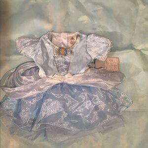 Disney Blue Princess Dress with Silver Trim- Cinderella Costume